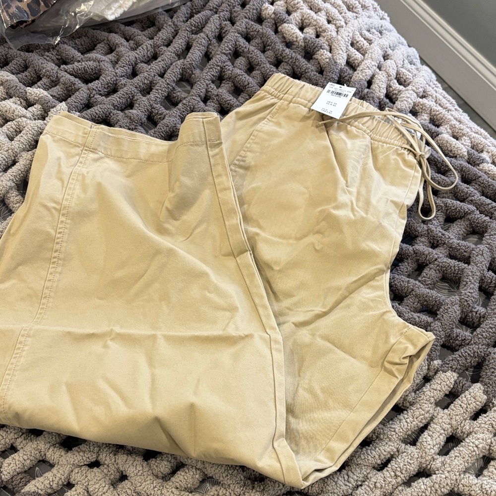 Abercrombie & Fitch Women's Tan Cropped Pants